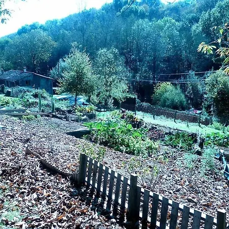 Les Petites Pierres- Rural + Wifi,pool Hébergement de vacances Vernoux-en-Gâtine